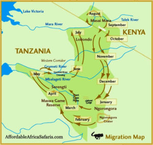 wilderbeeast migration map