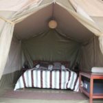 Wildebeest Eco-Camp - tent