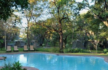 Zambezi Waterfront Camp - pool